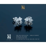 BÔNG TAI VÀNG ITALY 750 MẪU 173