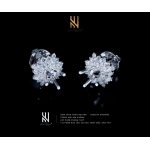 BÔNG TAI  VÀNG Ý 750 - MẪU 41