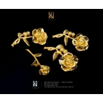 CHARM 24K MẪU 2