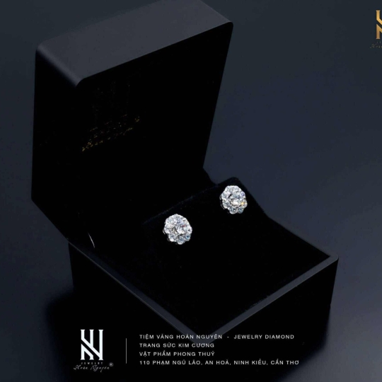 BÔNG TAI VÀNG ITALY 750 MẪU 204